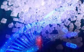 Что такое полимеры?