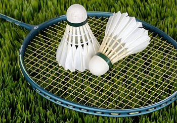 Полимерные технологии в Бадминтоне