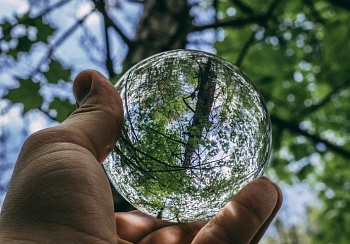 10 лайфхаков, которые помогут сделать жизнь экологичнее