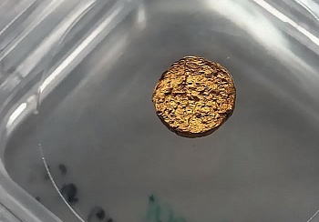 Золото из полимеров