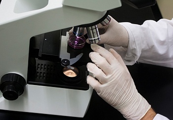 Заживляющий раны полимер PolySTAT