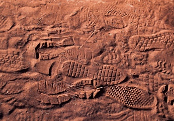 Полимеры в археологии: преимущества и недостатки перед аналогами