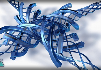 Роль пластика в нашей жизни Часть-1