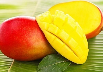 Биолог создал новый вид экологичного пластика из манго и водорослей