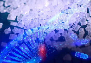 ДНК в клетки доставили с помощью покрытой сахаром полимерной гранулы