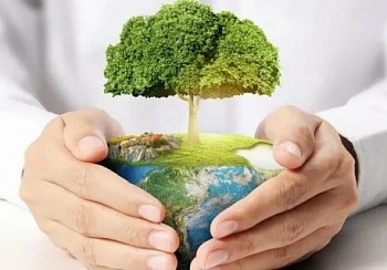 Почему так много критики вызывает пластик