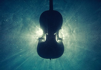 Полимеры в скрипках: история, современность и применение пластика