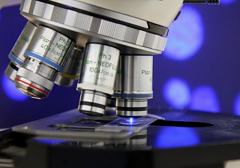 Американские учёные создали сверхпрочный пластик