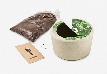 Урна для праха Bios, из которой можно вырастить дерево