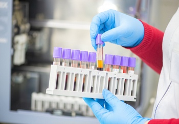 Классификация биополимеров