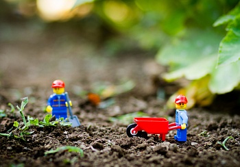 Игрушка-конструктор LEGO из биопластика