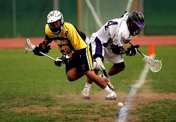 Полимерные технологии в оборудовании Лакросса