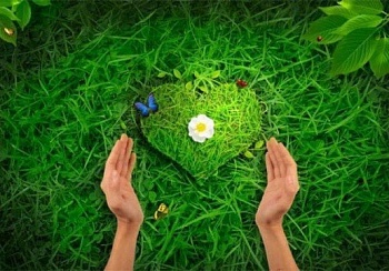  Пластики: с любовью к природе, с ответственностью перед будущим