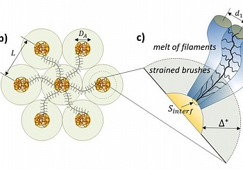 В МГУ сделали искусственную кожу из наноёршиков