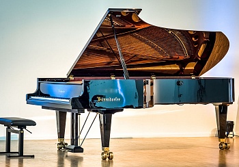 Полимеры в музыке: "Фортепиано и Рояль"