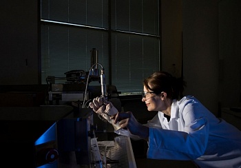 Культурные ценности, сделанные из пластика, начинают распадаться. Часть-3