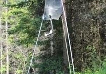 В хозяйстве пригодится: ТОП-3 лайфхака с полиэтиленовым пакетом