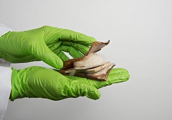 Культурные ценности, сделанные из пластика, начинают распадаться. Часть-1