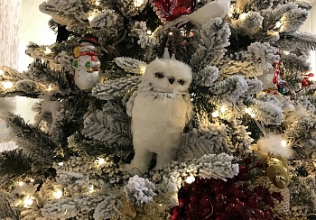 Тайна полимерной Ёлки: Часть - 1